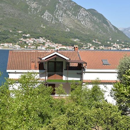 Viva Daire Kotor Dış mekan fotoğraf