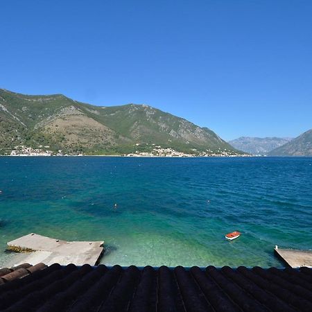 Viva Daire Kotor Dış mekan fotoğraf