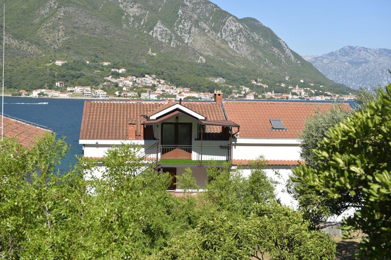Viva Daire Kotor Dış mekan fotoğraf